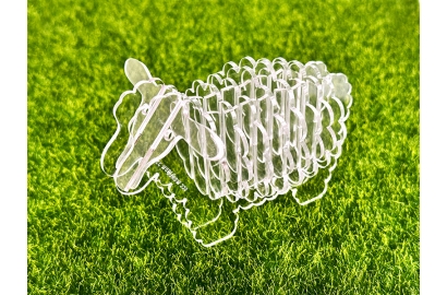 Modèle animal 3D